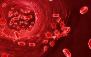Эффективные кровоостанавливающие препараты при обильных месячных и их особенности