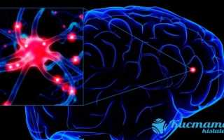 Кистозно-глиозные изменения головного мозга: причины, лечение, последствия трансформации