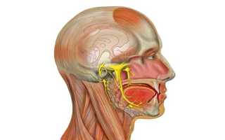 Болит левая сторона лица: симптомы, причины, возможный диагноз, диагностика и самодиагностика, советы врачей