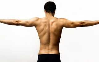 Мышцы плечевого пояса. Упражнения для мышц плечевого пояса