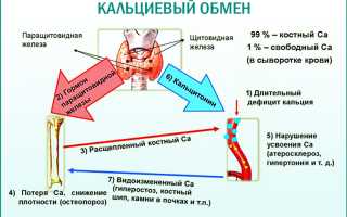 Выявление уровня кальция в моче реакцией Сулковича