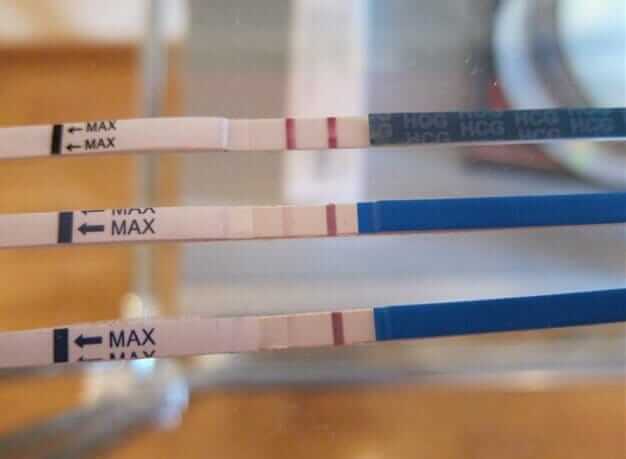 Рекомендации и советы Рекомендации и советы