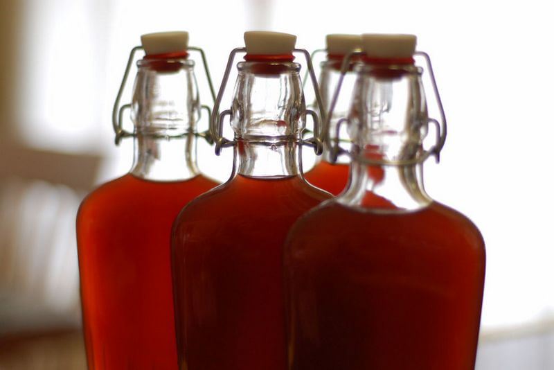 Основные принципы применения лекарств из боровой матки и красной щетки Основные принципы применения лекарств из боровой матки и красной щетки